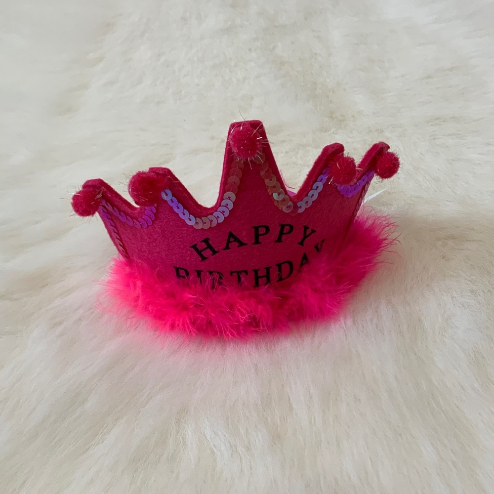 Pink Kids Birthday Crown with Fluffy Trim